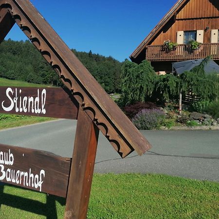 Villa Am Jaukhof Familie Stiendl Neudorf im Sausal Esterno foto